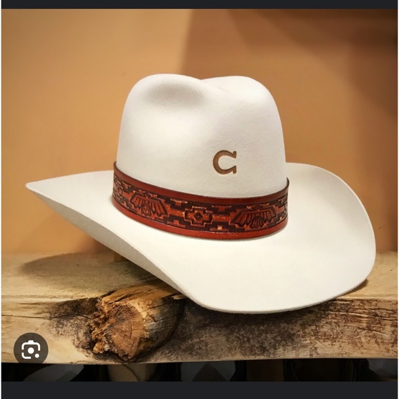 Felt Charlie horse hat brand new only worn once for pictures